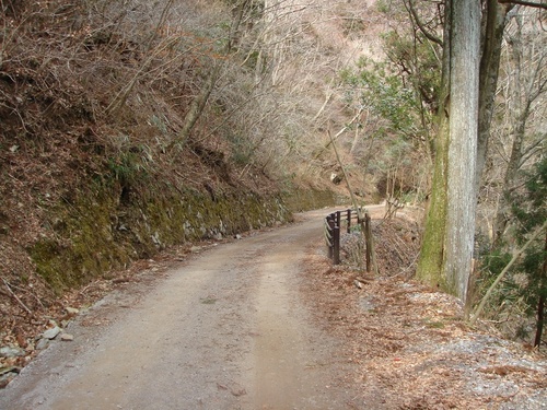 天城峠の旧道
